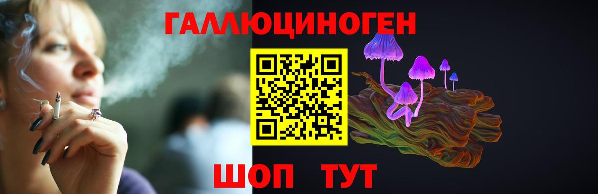 Псилоцибиновые грибы мицелий Кимры